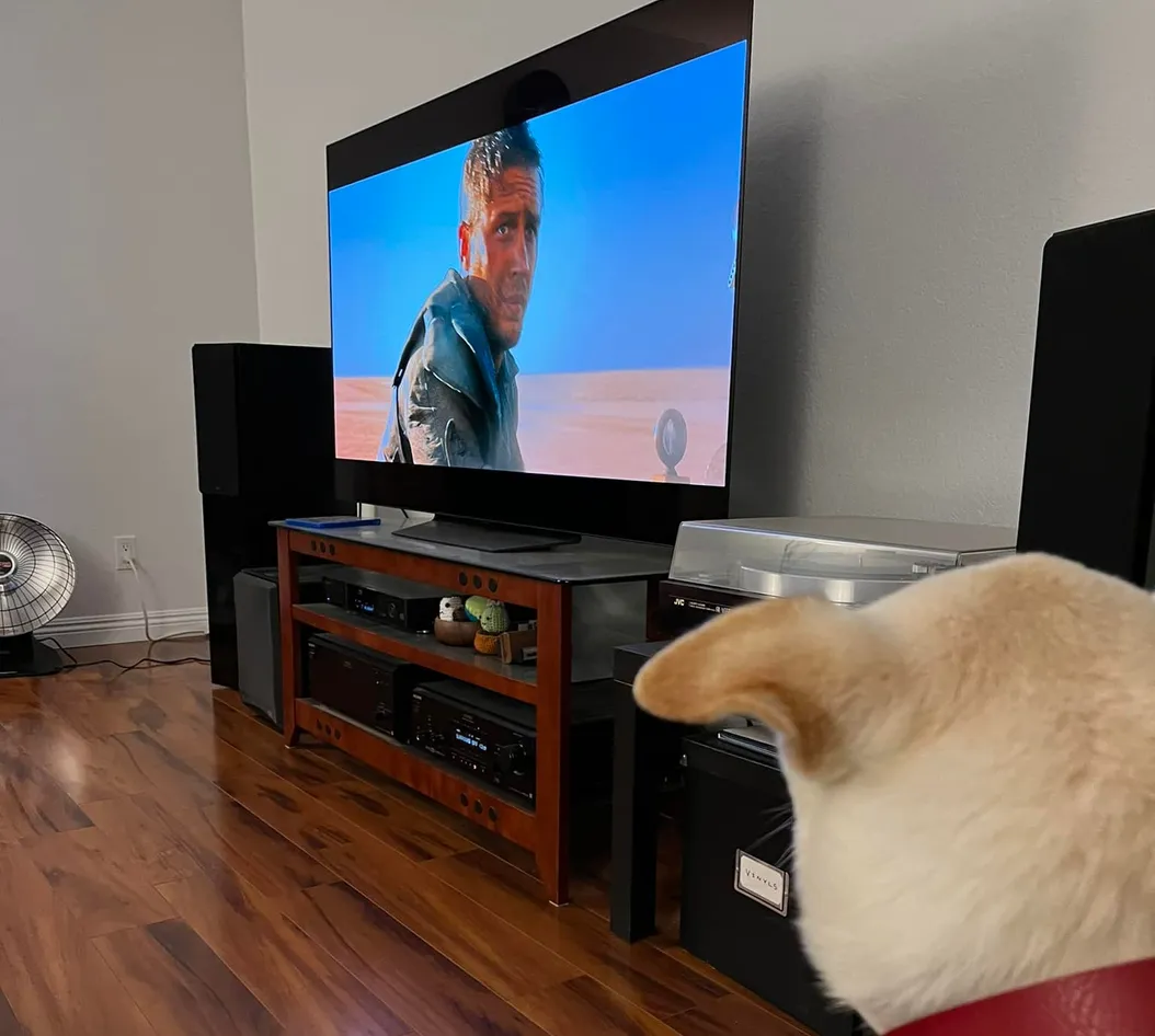 Nerding Out: Mad Max: Fury Road