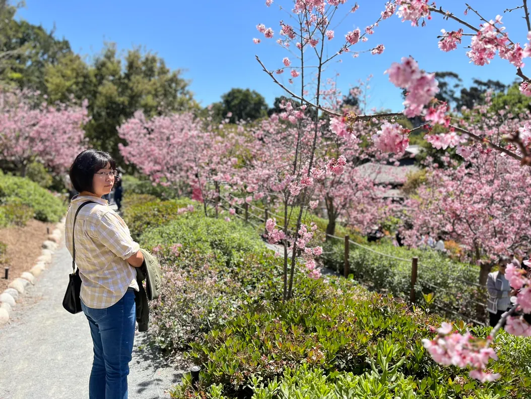 Beauty, Sorrow, and Justice: Entertainment District Arc of Demon Slayer